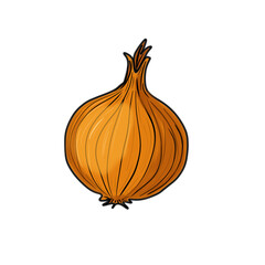 Onion isolated on white background | Vector 