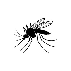 Mosquito Silhouette: A stark monochrome image of a mosquito, its delicate form rendered in shadow, highlighting the insect's distinct features.