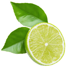 Fresh lime slice with vibrant green leaves, showcasing its juicy texture and bright color, perfect for culinary uses or refreshing beverages
