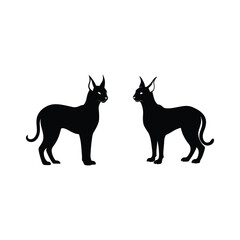 black cat silhouette