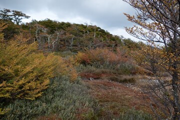 Fototapeta premium amazing beautiful patagonia nature in summer