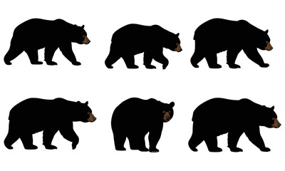 Set of 6 realistic black bear silhouettes in walking and standing poses. Vector illustration, isolated on white