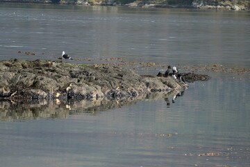 amazing beautiful patagonia nature in summer