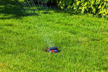 Water sprinkler spraying water over green lawn in backyard garden on sunny day. Sweden.