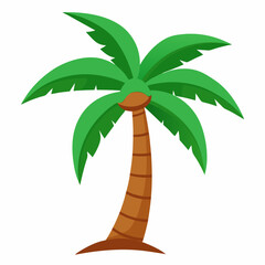 palm tree vector
