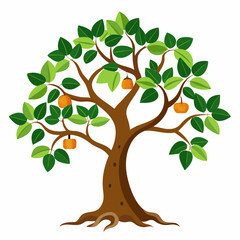 Fototapeta premium vector tree with green leaves