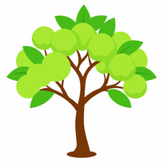 Obraz premium green tree isolated on white