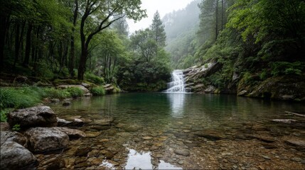 Waterfall and Pool Surrounded by Forest