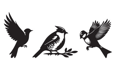 Obraz premium Bird set silhouette vector, on white background.