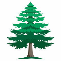 Fototapeta premium christmas tree isolated on white background