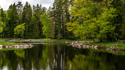 Salmon river landscape in a beautiful summer day.
Swedish river and natural area in summer