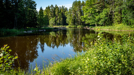 Salmon river landscape in a beautiful summer day.
Swedish river and natural area in summer