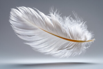 Obraz premium white feather isolated on black