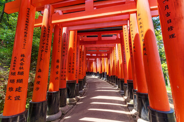 Senbon Torii at Fushimi Inari Taisha, a shrine in Kyoto, Japan