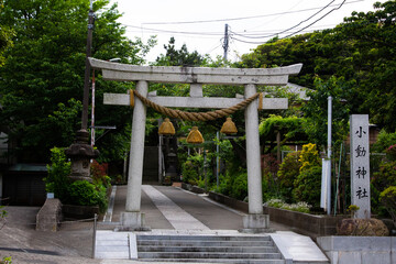 Japanese garden architecture featuring a serene gazebo amidst trees and a winding path, blending...