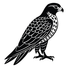 Obraz premium Falcon silhouettes and icons. Black flat color, simple, elegant white background, Falcon animal vector and illustration.