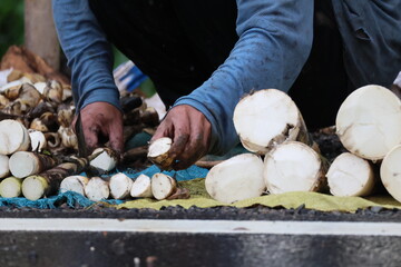 Bamboo shoots selling in Laos