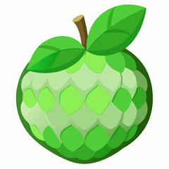 vector illustration of a green apple