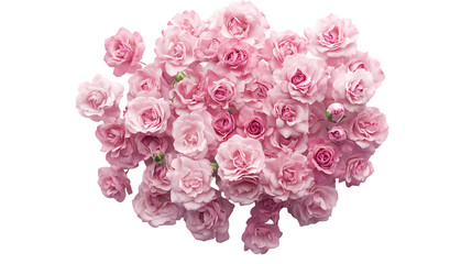 Obraz premium A cluster of pink roses in full bloom, creating a soft and romantic floral arrangement on blackground isolated on transparent background