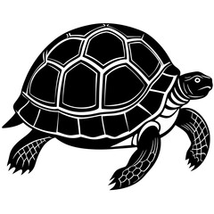 turtle vector with isolated white background 