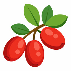 vector illustration of cherry