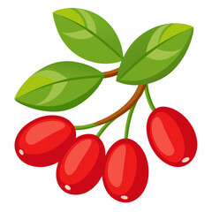 vector illustration of cherry