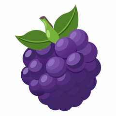 Blackberry Fruit Icon Vector Illustration