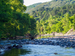 Rocky River and Lush Green Forest in the Ardèche Gorge, France

