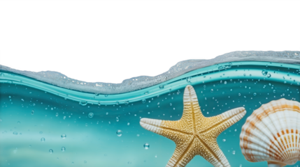 Underwater view of starfish and seashell with clear turquoise water and bubbles, transparet background for summer design mockups, ideal for vacation themes, marine products
