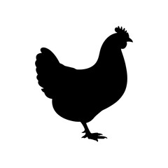 A silhouette image of a chicken standing with its head turned to the right side view