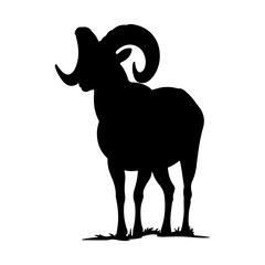 Silhouette of a bighorn sheep standing with its large curved horns in a side profile view on white