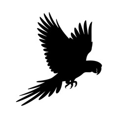 Silhouette of a parrot in flight with its wings spread and tail feathers visible on a white background