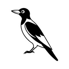 Vector illustration of Woodpecker line art