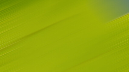 Diagonal strokes on green abstract blurred background.