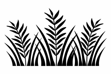 Decorative black and white plant silhouettes with transparent background for design