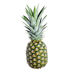 Tropical Ripe Pineapple with Textured Skin  High-Resolution Cutout Image