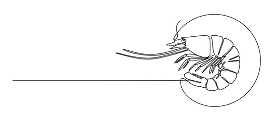 vector illustration of an shrimp
