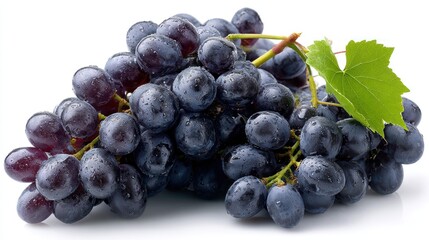 Bunch of dark grapes with a leaf on a white background.