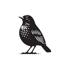 American Robin Vector (1).eps