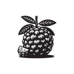 Annona squamosa Vector (3).eps