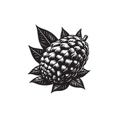 Annona squamosa Vector (4).eps