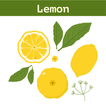 lemon and lime