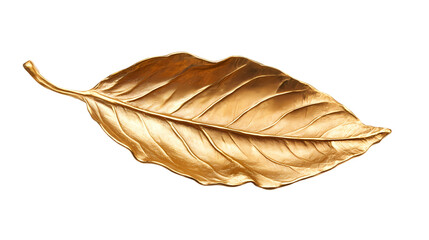Isolated golden leaf with detailed veins and texture  in a studio shot isolated on transparent background