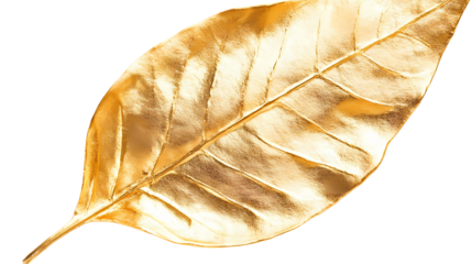 A close up image of a single golden leaf with detailed veins   space isolated on transparent background