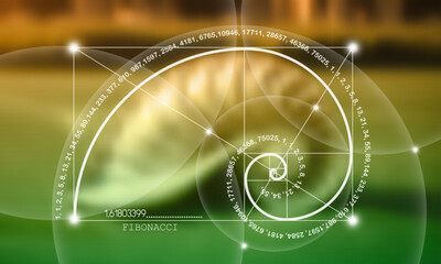 Fibonacci number sequence. Nautilus Seashell section. Snail spiral. Golden ratio. Geometric shapes spiral. Sacred geometry template. Logarithmic sequences. Vector Blurred natural background