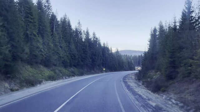 View through the windshield of driving truck along the curve country road with marking and signboards on the sides, driving along the forest road in early morning, evergreen spruce trees growing on