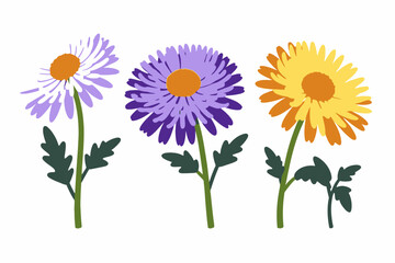 Fototapeta premium Colorful Daisy Flower Illustration - Purple, Yellow, and White Daisies on White Background - Botanical Art Print and Floral Decoration