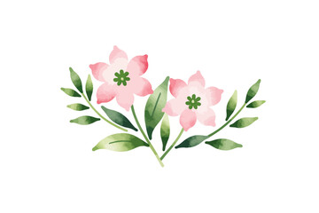 Watercolor Pink Dogwood Flowers and Green Leaves Illustration - Delicate Floral Design for Spring Decor - Elegant Botanical Arrangement for Invitations and Crafts