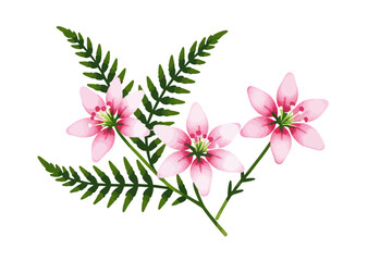 Watercolor Pink Flowers and Green Ferns Illustration - Delicate Floral Design for Spring and Summer Projects - Botanical Art Print for Invitations and Crafts