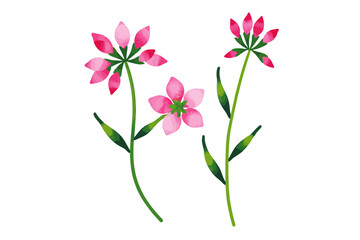 Watercolor Pink Flowers Illustration - Delicate Floral Design with Green Stems and Leaves - Botanical Art for Spring Projects and Creative Designs